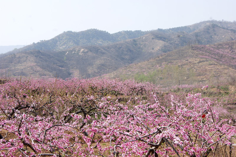 2015��4����(li��n)�����^�һ�